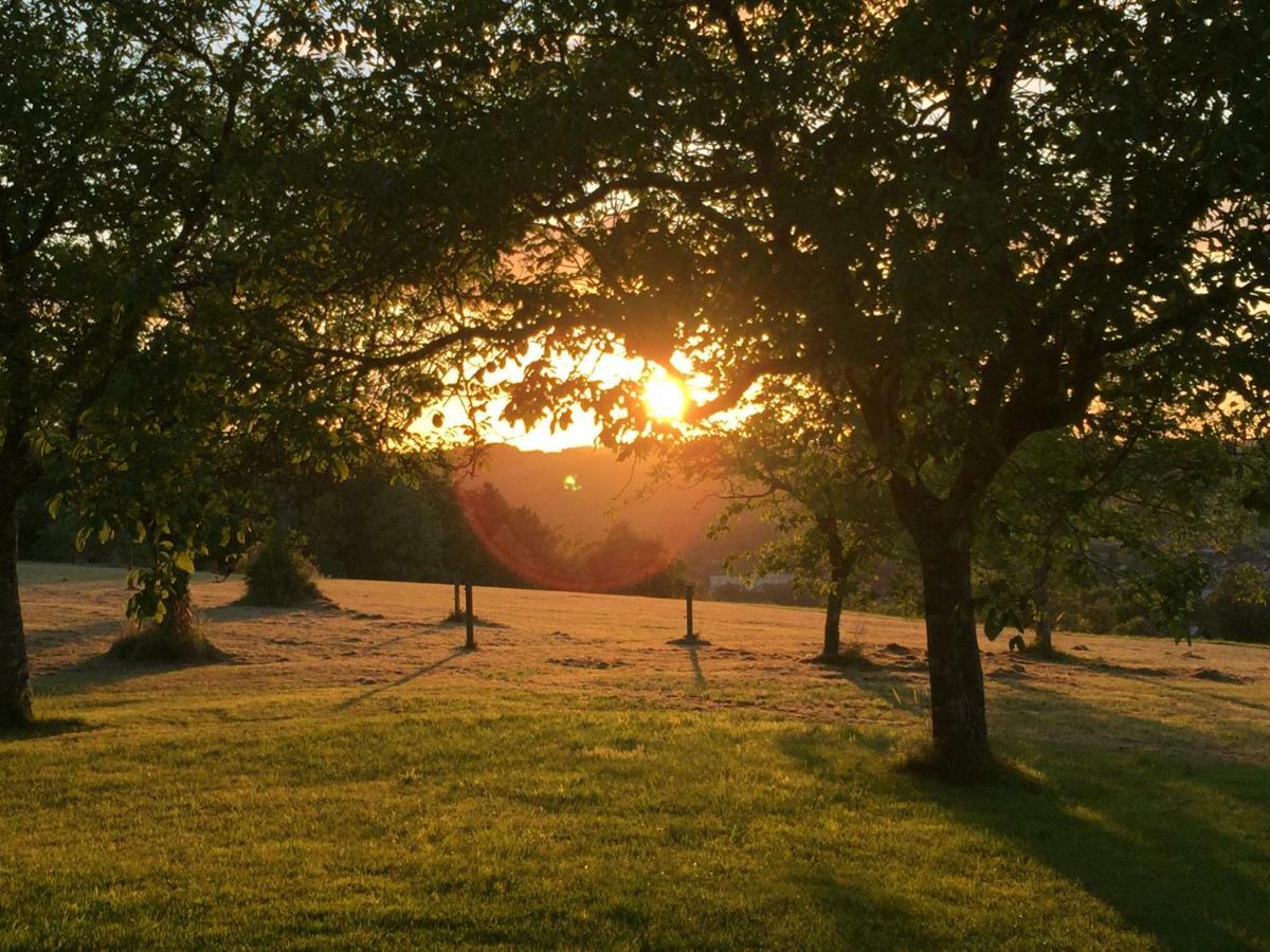 Domaine De Lascaux Bed & Breakfast Монтиняк Екстериор снимка