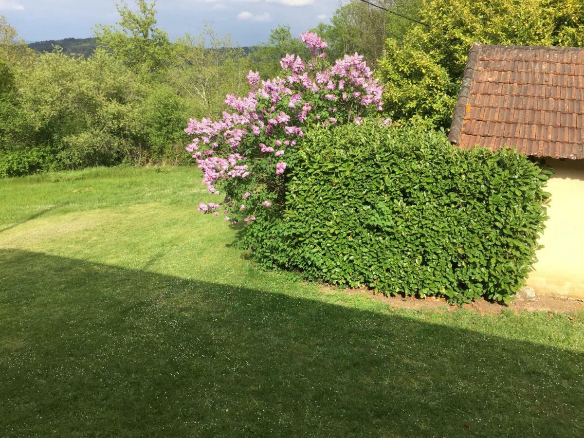 Domaine De Lascaux Bed & Breakfast Монтиняк Екстериор снимка
